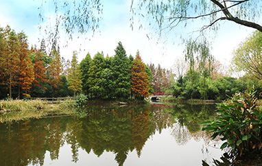 糖心VLGO更新栏目说明