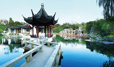 糖心VLGO读者互动与反馈