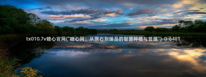 糖心vlog免费版