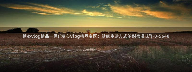 糖心vlog 入口