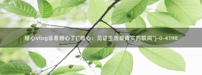 糖心vlog玩偶姐姐