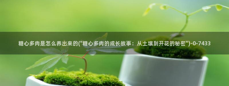 糖心vlog免下载