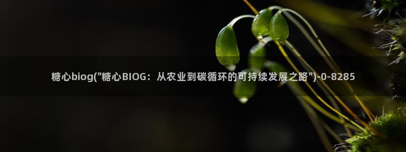 糖心vlog日常生活