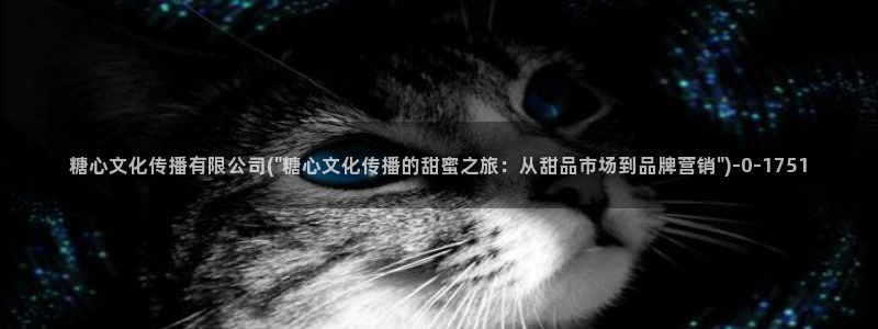 糖心vlog官方版：糖心文化传播有限公司(\